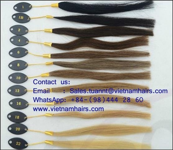Good sales! Vietnamese Human Hair Skin Weft Color 4