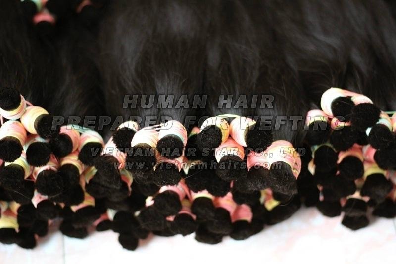 Remy Color Human Weft Hair Extensions 3