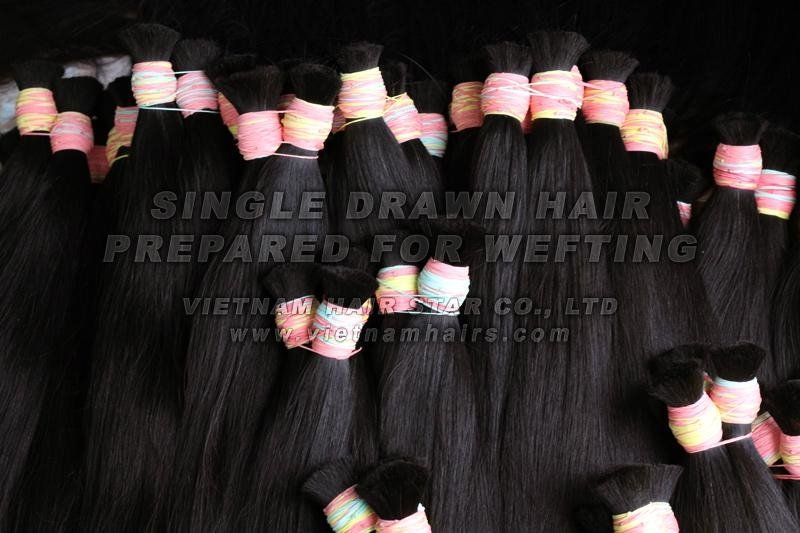 Vietnamese virgin remy hair premium quality with good price 4