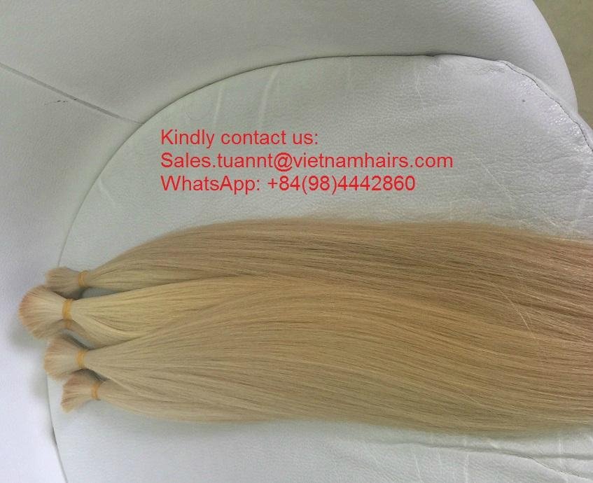 Vietnamese Colored Hair Remy Hair Human Hair 5
