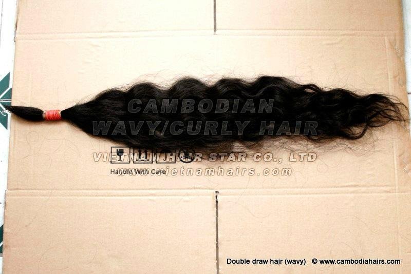 2016 Cambodian wavy / curly hair for sales with premium quality and good price