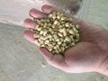 Wood pellets 3