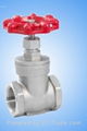 stainless steel Gate valve