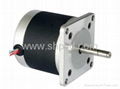 57PYG hybrid stepper motor manufacture in china 4