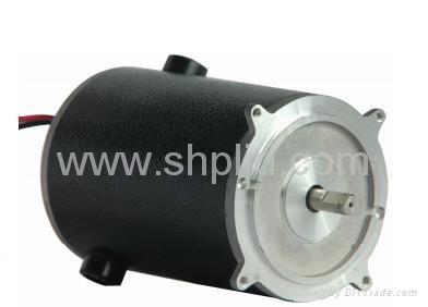 40zyn  180V 0.1A 700W petmanent magnent dc motor manufacturers in China 4