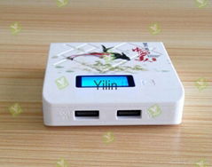 China’s beauty mobile charger