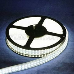 DC 24v LED Strip Lights