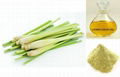 LEMONGRASS OIL FROM VIET NAM 2