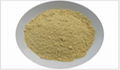 Ginger Powder From Viet Nam