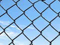 Chain Link Fence 5