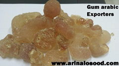 gum arabic