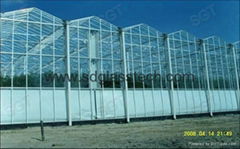 top sale greenhouse glass with CE, SGS 