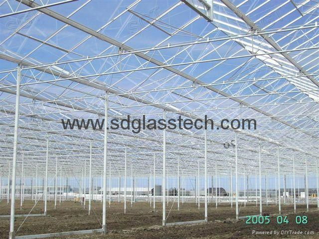 top sale greenhouse glass with CE, SGS  3