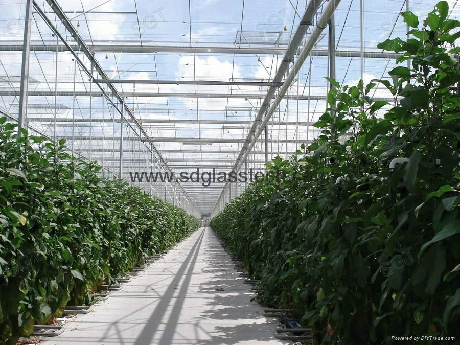 top sale greenhouse glass with CE, SGS  4