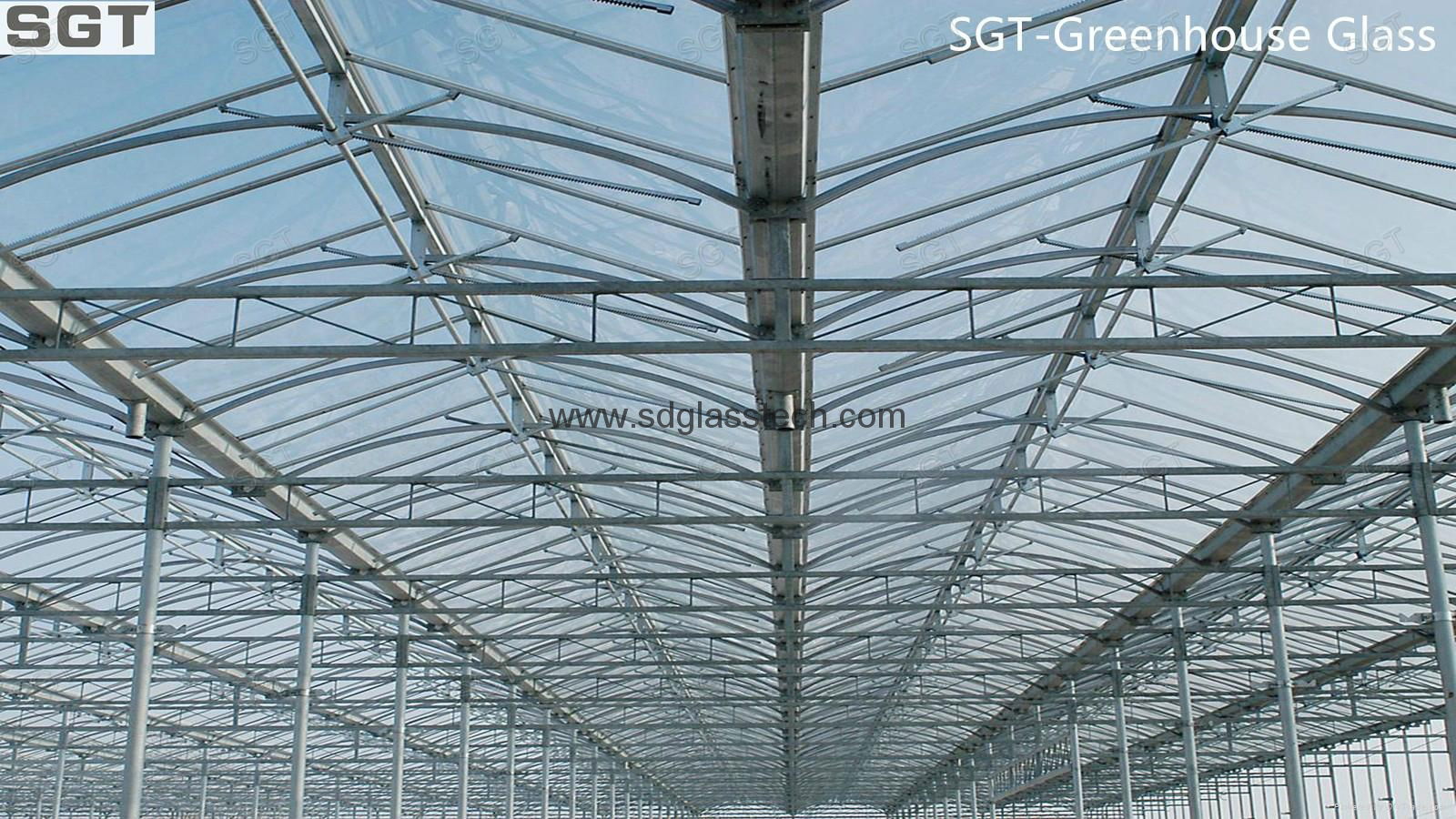 top sale greenhouse glass with CE, SGS  5