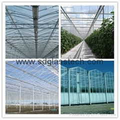 clear greenhouse glass with CE