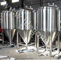 500L micro brewery equipment made in