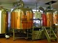 500L restaurant/hotel brewery equipment used red copper 2