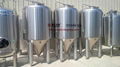 Beer brewing kettle for 500l 2