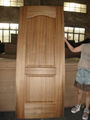 Veneer Door Skin 3