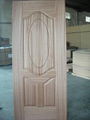 Veneer Door Skin 1