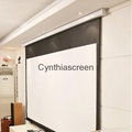 Cynthia Wall Mount Manual Self Lock Projector Screen 2