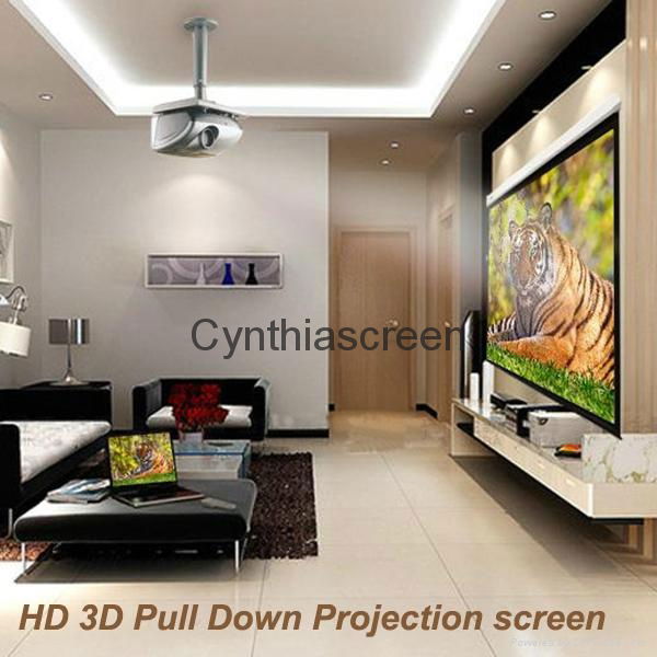 Cynthia Wall Mount Manual Self Lock Projector Screen