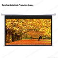 Motorized Projector Screen