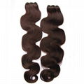 Hair Weft 2