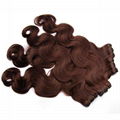 Hair Weft 4