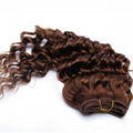 Hair Weft 5