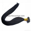 Stick Tip Hair Extensions 1