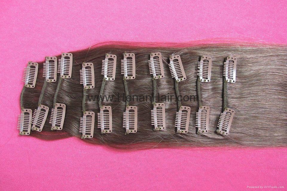 Clip In Hair Extensions 2