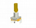 Rotary potentiometer