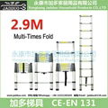 2.9m Single Telescopic ladder