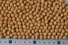 CHICKPEAS(Kabuli)