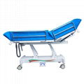 Supply of Aile PTK-430 electric shower bed