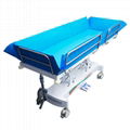 Supply of Aile PTK-430 electric shower bed