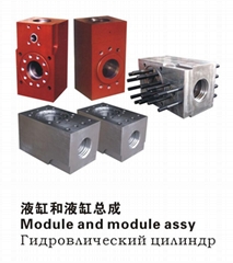 Module and module assy