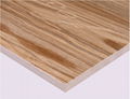 Rectified Wooden Tiles The Nordic elm 3