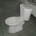 High Efficiency Two Piece Toilet