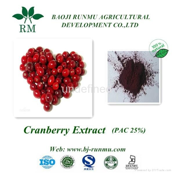 Canada cranberry extract proanthocyanidin 25%