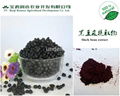 black bean peel extract anthocyanidins