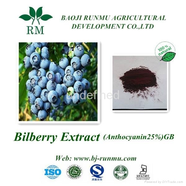 China bilberry extract anthocyanidins 25%