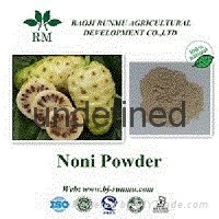 Noni extract powder 4:1