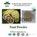 Noni extract powder 4:1