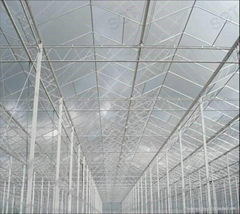 Greenhouse Glass