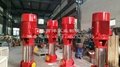 CCC認証鑄鐵立式多級消防泵 2