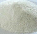 The Top Sell Of Calcium Formate 4