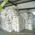 The Top Sell Of Calcium Formate 5